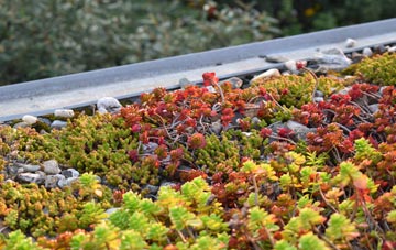 the cost of Westley Waterless green roof installation