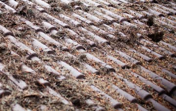 Westley Waterless roof cleaning companies