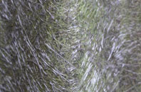 Westley Waterless fibreglass roof work